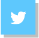 Logo Twitter