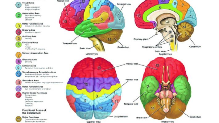 Riabilitazione cognitiva Milano – Dopo il progetto Via dal Divano