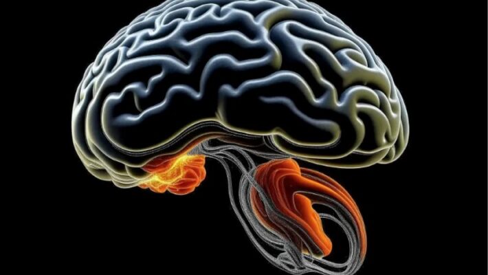 Recupero dopo un ictus o una lesione cerebrale: quanto è possibile?