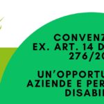 Convenzione EX. ART. 14 del D.Lgs. 276/2003: un’opportunità per aziende e persone con disabilità Convenzione EX. ART. 14 del D.Lgs. 276/2003: un’opportunità per aziende e persone con disabilità