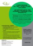 Convenzione EX. ART. 14 del D.Lgs. 276/2003: un’opportunità per aziende e persone con disabilità Convenzione EX. ART. 14 del D.Lgs. 276/2003: un’opportunità per aziende e persone con disabilità